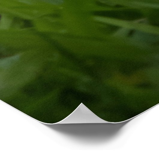 Are You Ready Poster (Hoek)