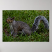 Are You Ready Poster (Voorkant)