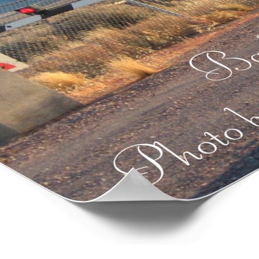 Area 51 Back Gate Photo Poster (Hoek)