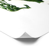 Areca catechu (betelnoot palm) poster (Hoek)