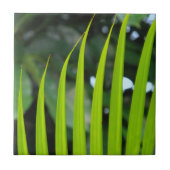 Areca Palm Frond Tegeltje (Voorkant)