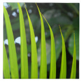 Areca Palmblad Tegeltje (Voorkant)