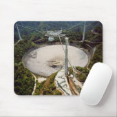 Arecibo Radio Telescope Muismat (Met muis)