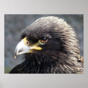 AREND POSTER
