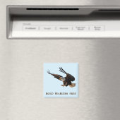 Arend swooping naar beneden magneet (Insitu (Vaatwasser))