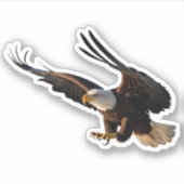 Arend swooping naar beneden sticker (Voorkant)