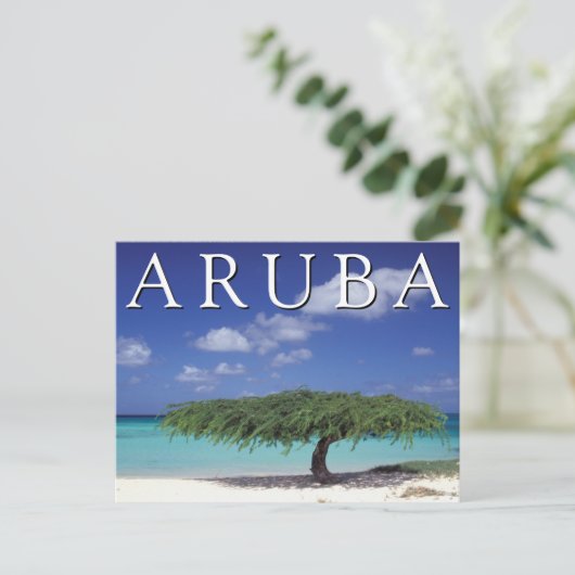Arendstrand | Caribisch gebied, Aruba Briefkaart (Staand voorkant)