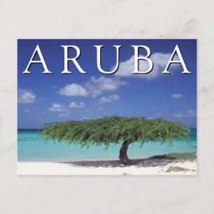 Arendstrand Caribisch gebied, Aruba Briefkaart
