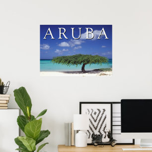 Arendstrand   Caribisch gebied, Aruba Poster