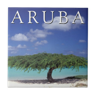 Arendstrand   Caribisch gebied, Aruba Tegeltje