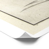 Arent van Bolten's "Monsters Verborgen door Apes" Poster (Hoek)