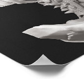 Ares Turnround Poster (Hoek)