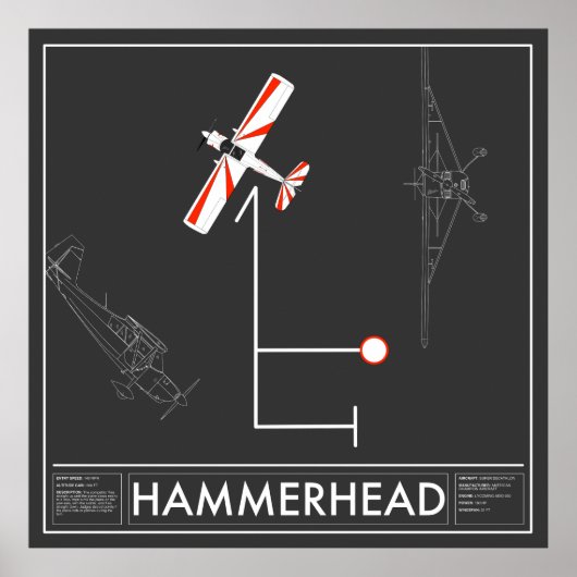 Aresti Aerobatic Hammerhead Super Decathlon Poster (Voorkant)