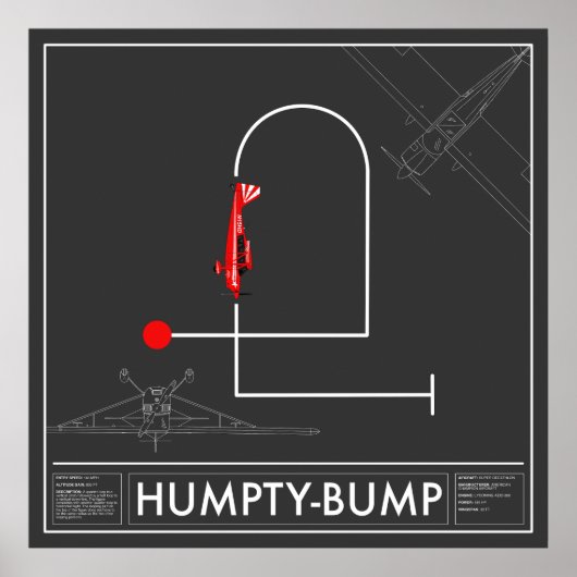Aresti Aerobatic Humpty Bump Super Decathlon Poster (Voorkant)