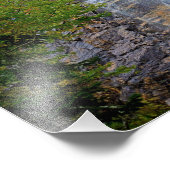 Arethusa Falls Print Foto Afdruk (Hoek)