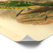 Arfak Cat Bird Green Yellow  Print (Hoek)