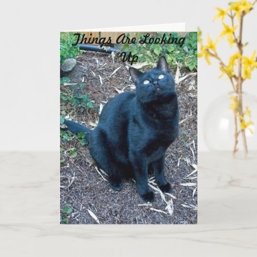 Arg Birthday Card 3 Kaart (Gele Bloem)