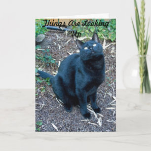 Arg Birthday Card 3 Kaart