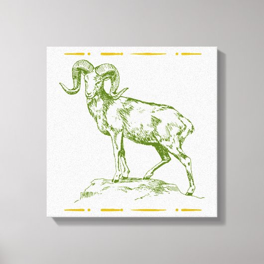 Argali Canvas Afdruk (Voorkant)