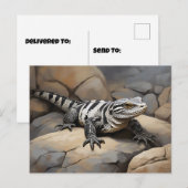 Argentijns zwart-wit tegu briefkaart (Voorkant / Achterkant)