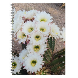 Argentijnse cactus bloemspiraal Notitieboek