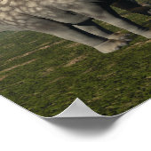 Argentijnse dinosaurus-eetboom - 3D-weergave Poster (Hoek)