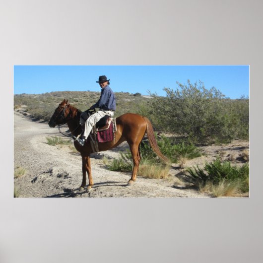 Argentijnse Gaucho Poster (Voorkant)