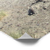 Argentijnse Gaucho Poster (Hoek)