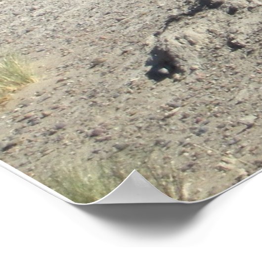 Argentijnse Gaucho Poster (Hoek)