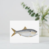 Argentijnse Menhaden Briefkaart (Staand voorkant)