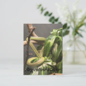 Argentijnse rennerslang briefkaart (Staand voorkant)