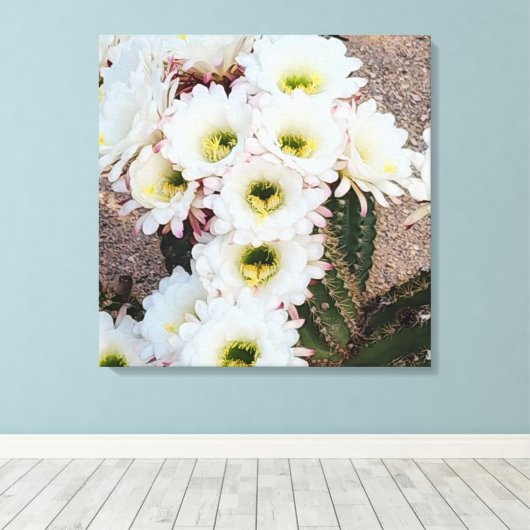 Argentijnse Saguaro Bloemen Canvas Afdruk (Insitu (Houten vloer))
