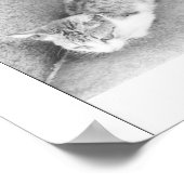 Argentijnse straatkat poster (Hoek)