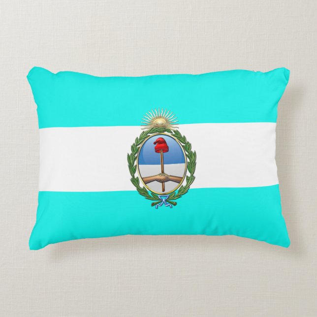 Argentijnse vlag accent kussen (Voorkant)