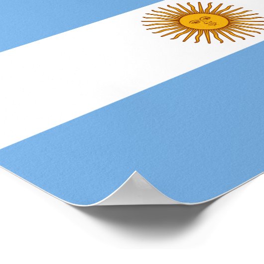 Argentijnse vlag poster (Hoek)