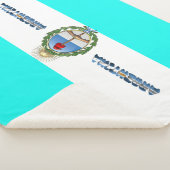 Argentijnse vlag sherpa deken (3/4)