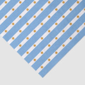 Argentijnse vlag tissuepapier (Detail)