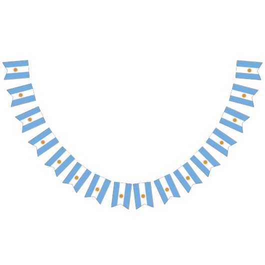 Argentijnse vlag vlaggetjes (Alle)