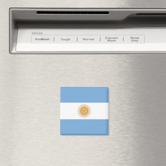Argentina Flag Magnet (Insitu (Vaatwasser))