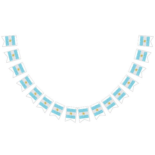 Argentina Oil Painting Drawing Vlaggetjes (Alle)