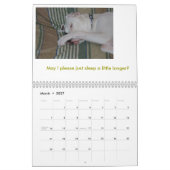 Argentine Dogo Kalender (Mar 2027)