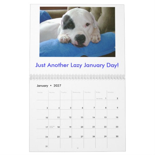 Argentine Dogo Kalender (Jan 2027)