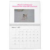 Argentine Dogo Kalender (Feb 2027)