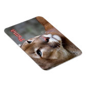 Argentine Puma - Magneet (Rechterzijde)
