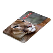 Argentine Puma - Magneet (Linkerzijde)