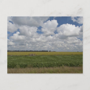 Argentinië, Buenos Aires, San Antonio de Areco. Briefkaart