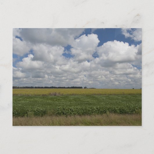 Argentinië, Buenos Aires, San Antonio de Areco. Briefkaart (Voorkant)