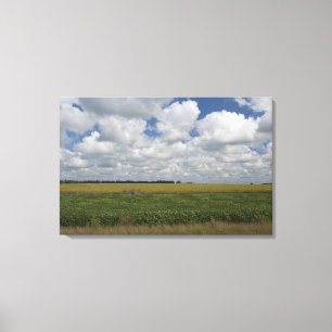 Argentinië, Buenos Aires, San Antonio de Areco. Canvas Afdruk