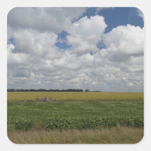 Argentinië, Buenos Aires, San Antonio de Areco. Vierkante Sticker (Voorkant)