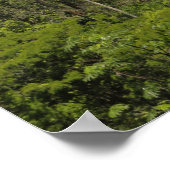 Argentinië, Iguacu Herfsten in de zon. Poster (Hoek)